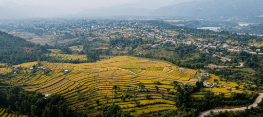 Buy Land Intro