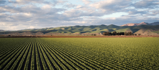 Sell Land Intro