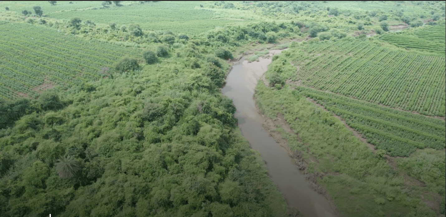 Image of 7 property