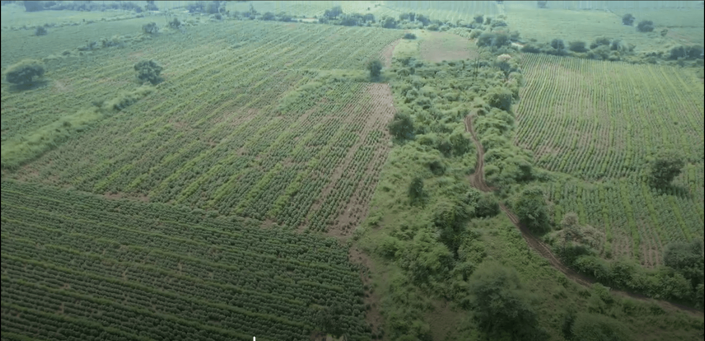 Image of 1 property