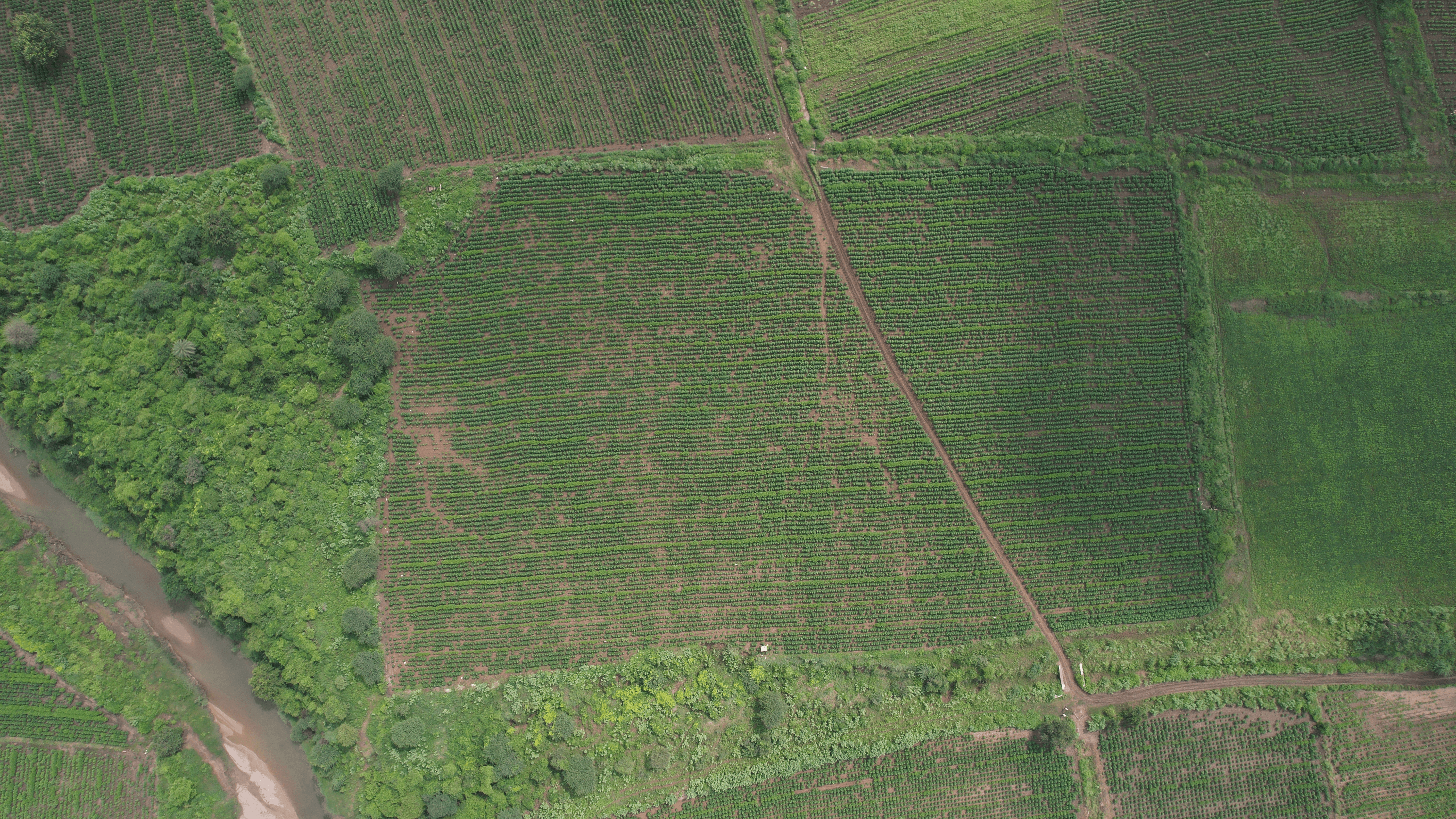 Image of 2 property