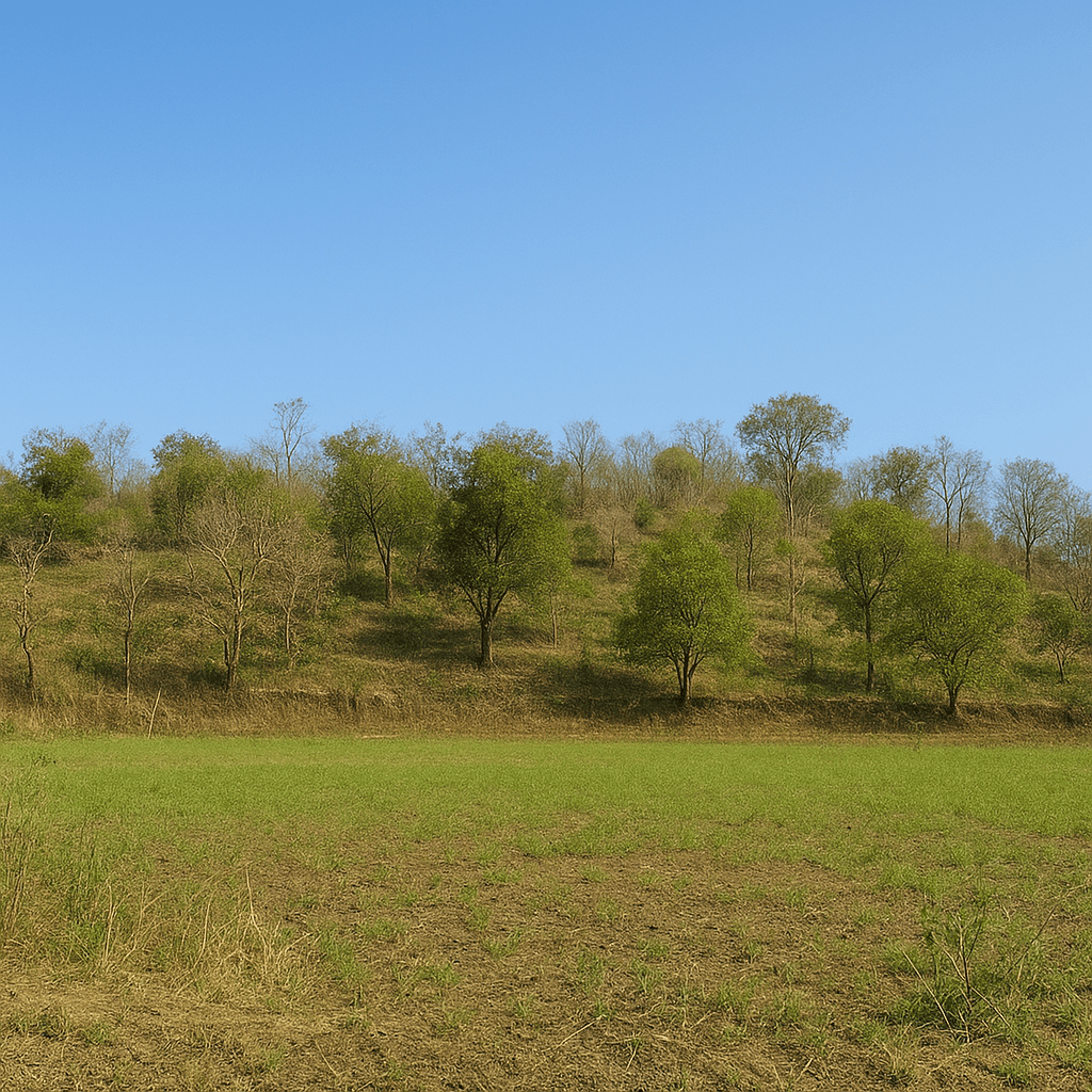 Image of 4 property