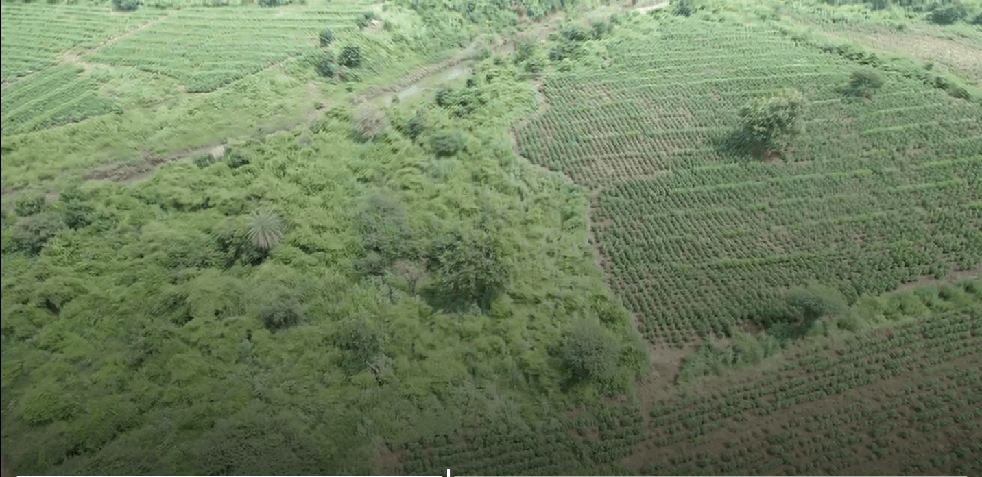 Image of 6 property