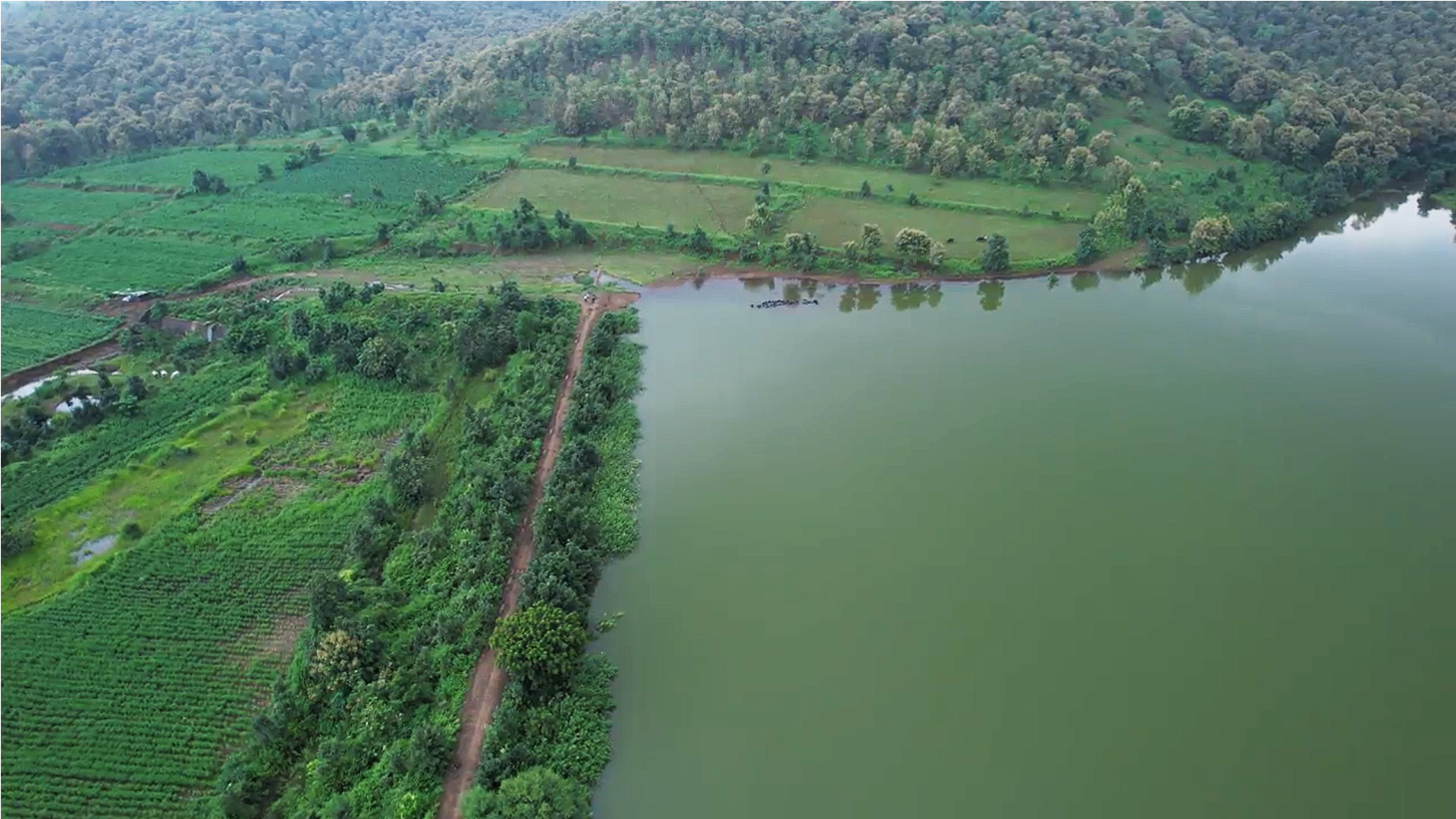 Image of 7 property